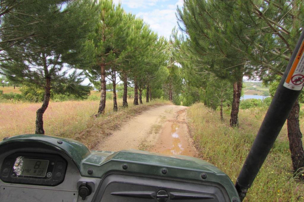 בית הארחה מונטרגיל 	Monte Da Tojeirinha מראה חיצוני תמונה