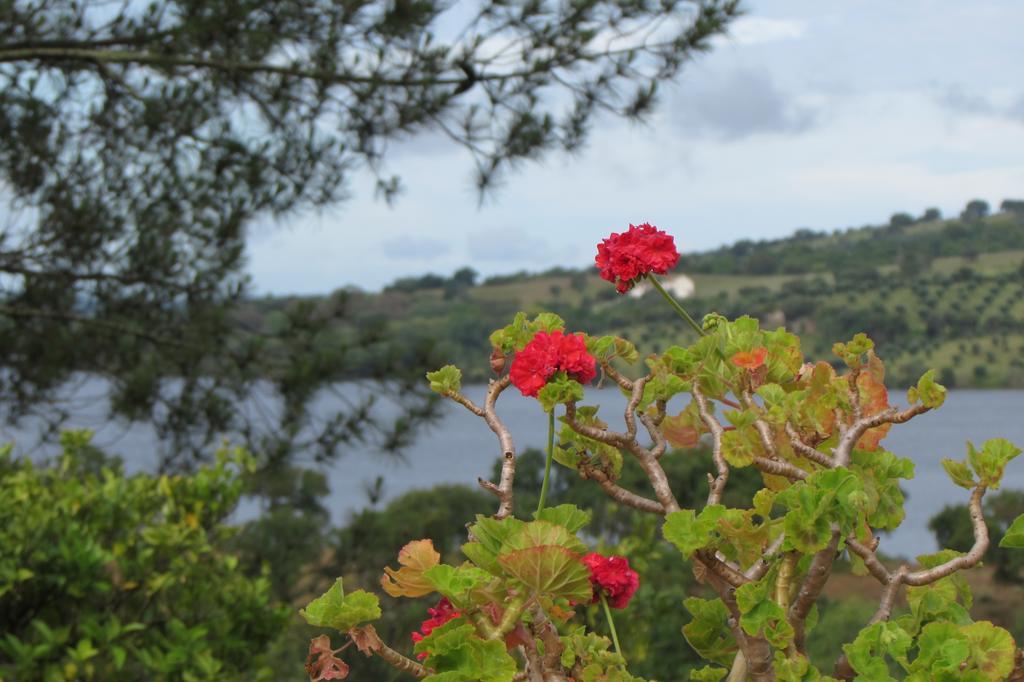 בית הארחה מונטרגיל 	Monte Da Tojeirinha מראה חיצוני תמונה