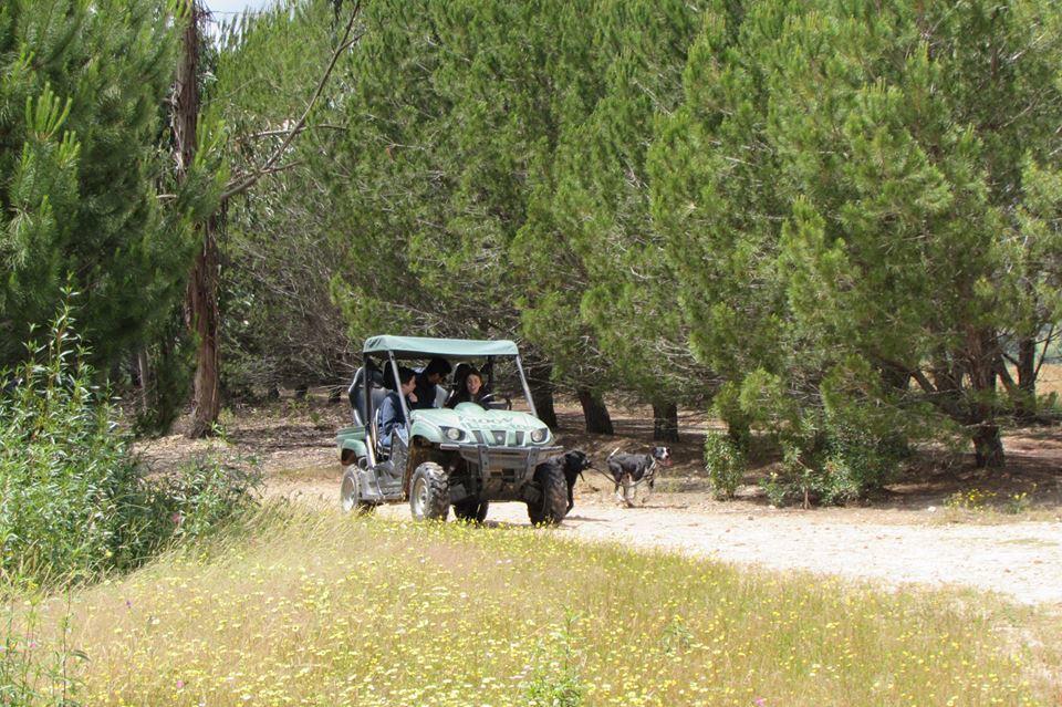 בית הארחה מונטרגיל 	Monte Da Tojeirinha מראה חיצוני תמונה